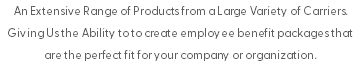 An Extensive Range of Products from a Large Variety of Carriers. Giving Us the Ability to to create employee benefit packages that are the perfect fit for your company or organization. 